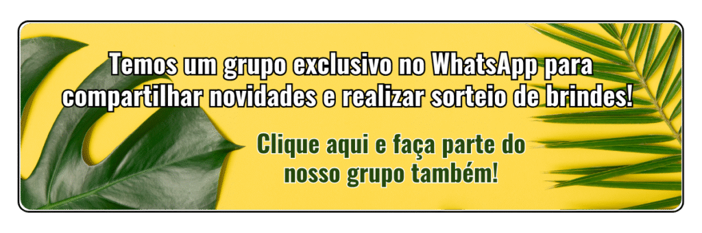 economizar dinheiro