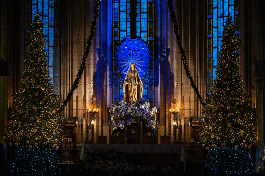 Orações católicas Liturgia diária Reflexões bíblicas Versículos de fé Histórias de fé cristã Orações para momentos difíceis Estudos bíblicos online Mensagens de esperança cristã Devoções católicas